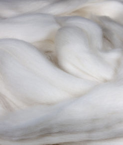 Spinning/felting fiber - Organique - 005