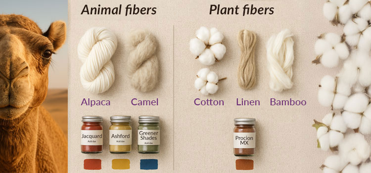Animal fibers vs. plant fibers