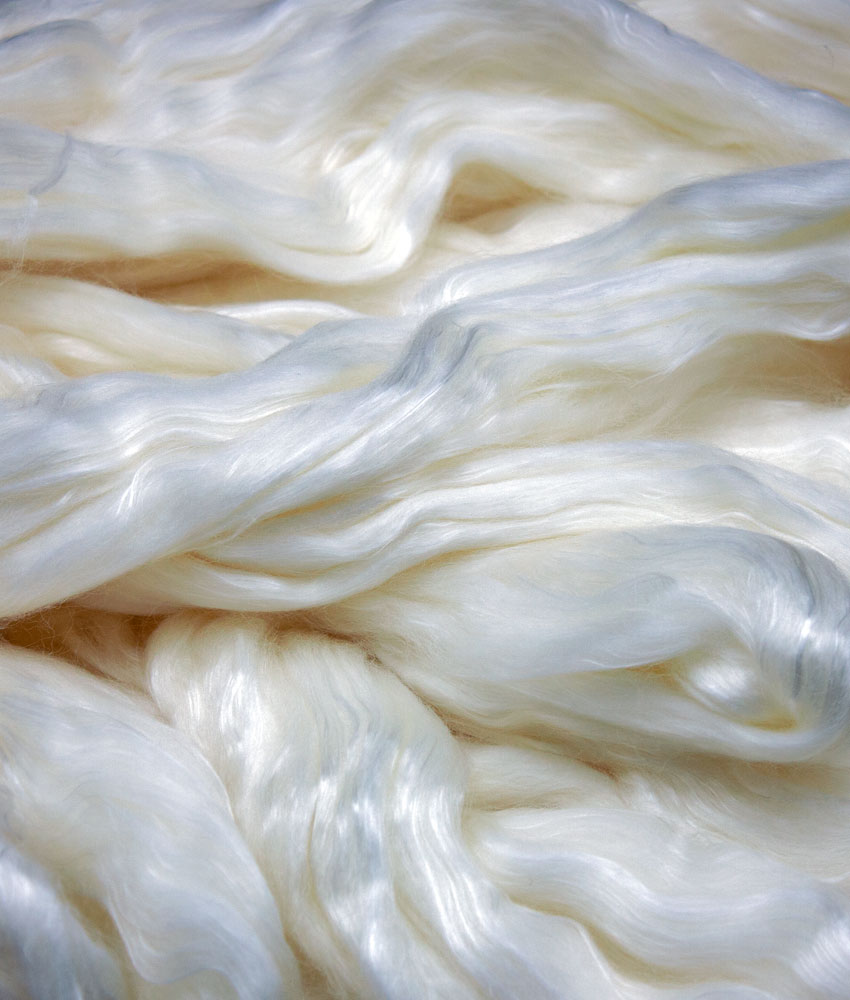 Spinning fiber (Top) - SW Merino, Tencel