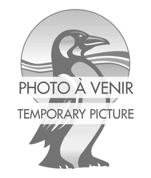 En attente de l’image du produit