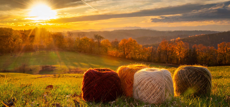 La magie de l'automne, couleurs et laine à teindre