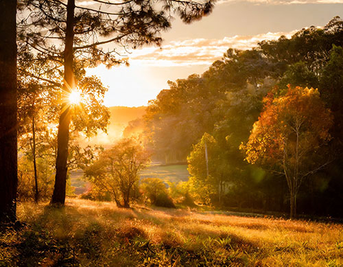 La magie de l'automne, couleurs et laine à teindre