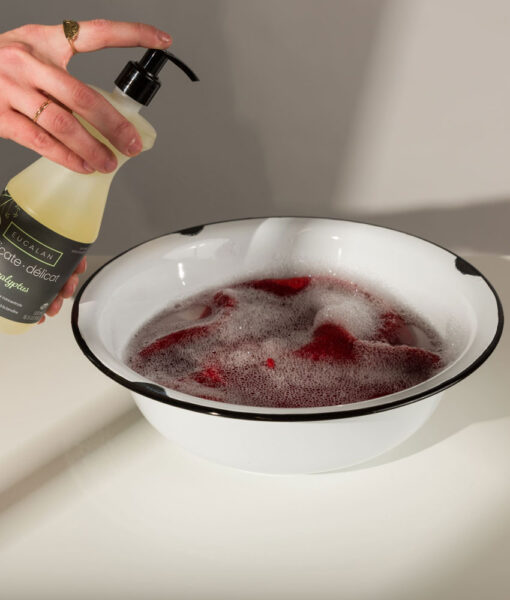Pompe à savon Eucalan pour bouteille 500ml